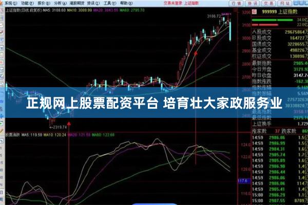 正规网上股票配资平台 培育壮大家政服务业