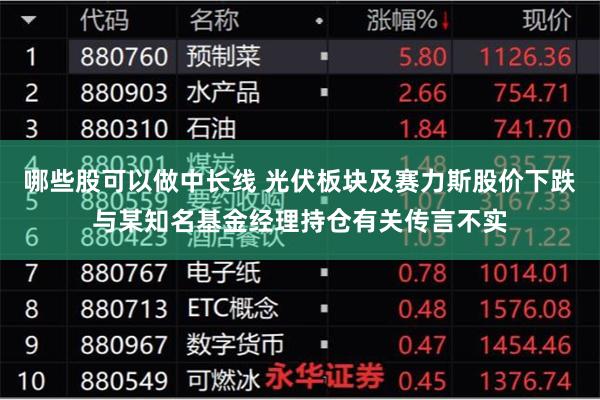 哪些股可以做中长线 光伏板块及赛力斯股价下跌与某知名基金经理持仓有关传言不实