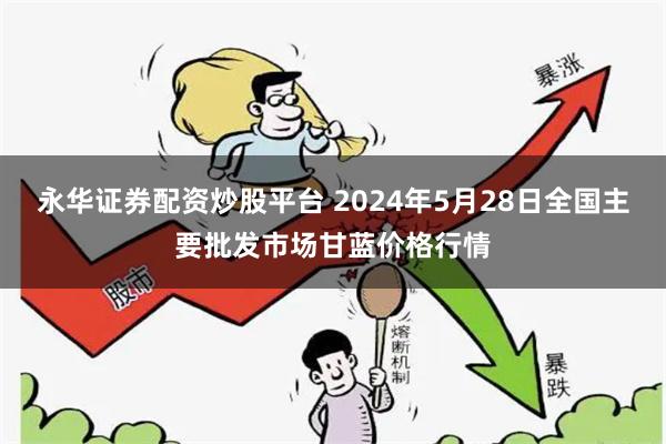 永华证券配资炒股平台 2024年5月28日全国主要批发市场甘蓝价格行情