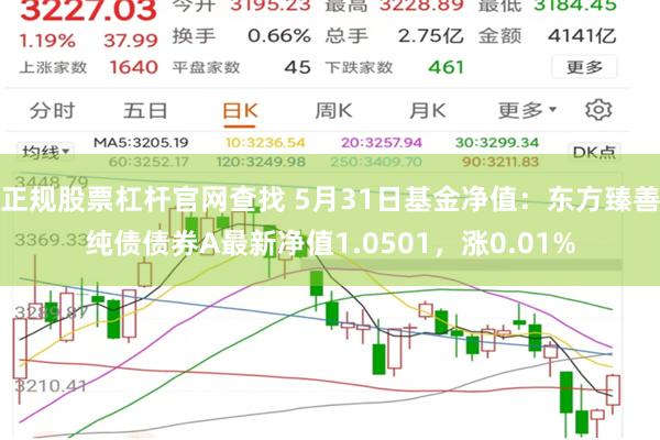 正规股票杠杆官网查找 5月31日基金净值：东方臻善纯债债券A最新净值1.0501，涨0.01%