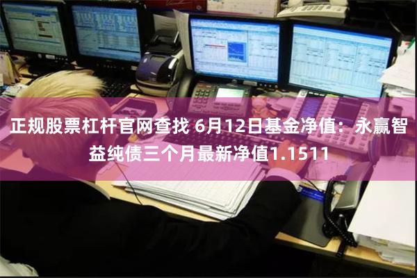 正规股票杠杆官网查找 6月12日基金净值：永赢智益纯债三个月最新净值1.1511