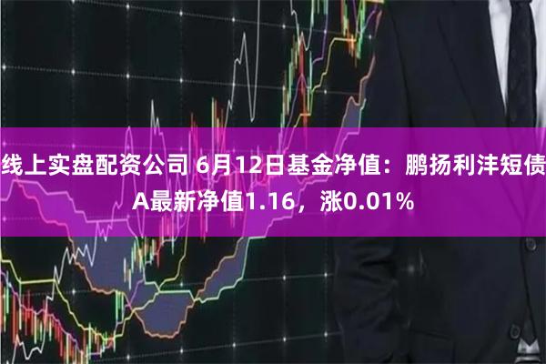 线上实盘配资公司 6月12日基金净值：鹏扬利沣短债A最新净值1.16，涨0.01%