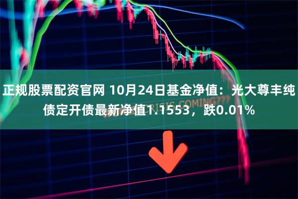 正规股票配资官网 10月24日基金净值：光大尊丰纯债定开债最新净值1.1553，跌0.01%
