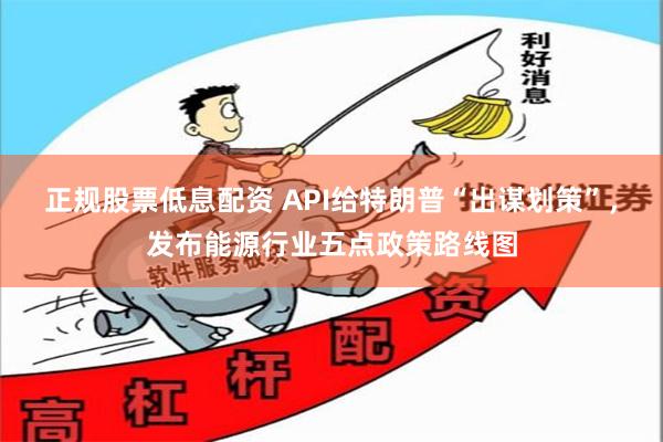 正规股票低息配资 API给特朗普“出谋划策”，发布能源行业五点政策路线图